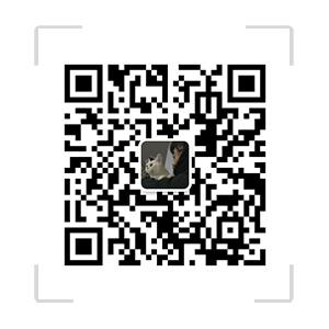 武汉市翔云骏科技有限公司